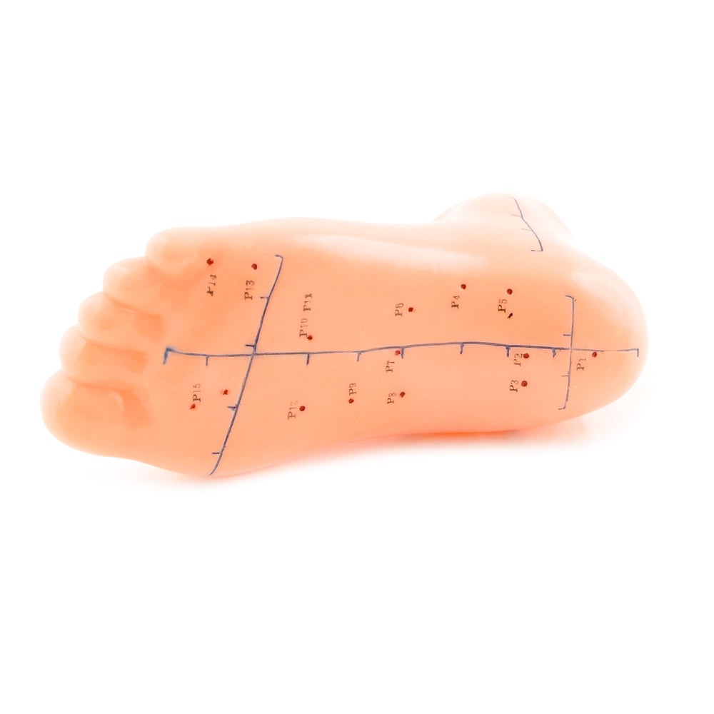 Akupunkturmodell Fuß
