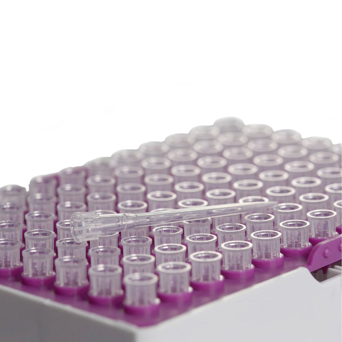 Accumax Filterspitzen