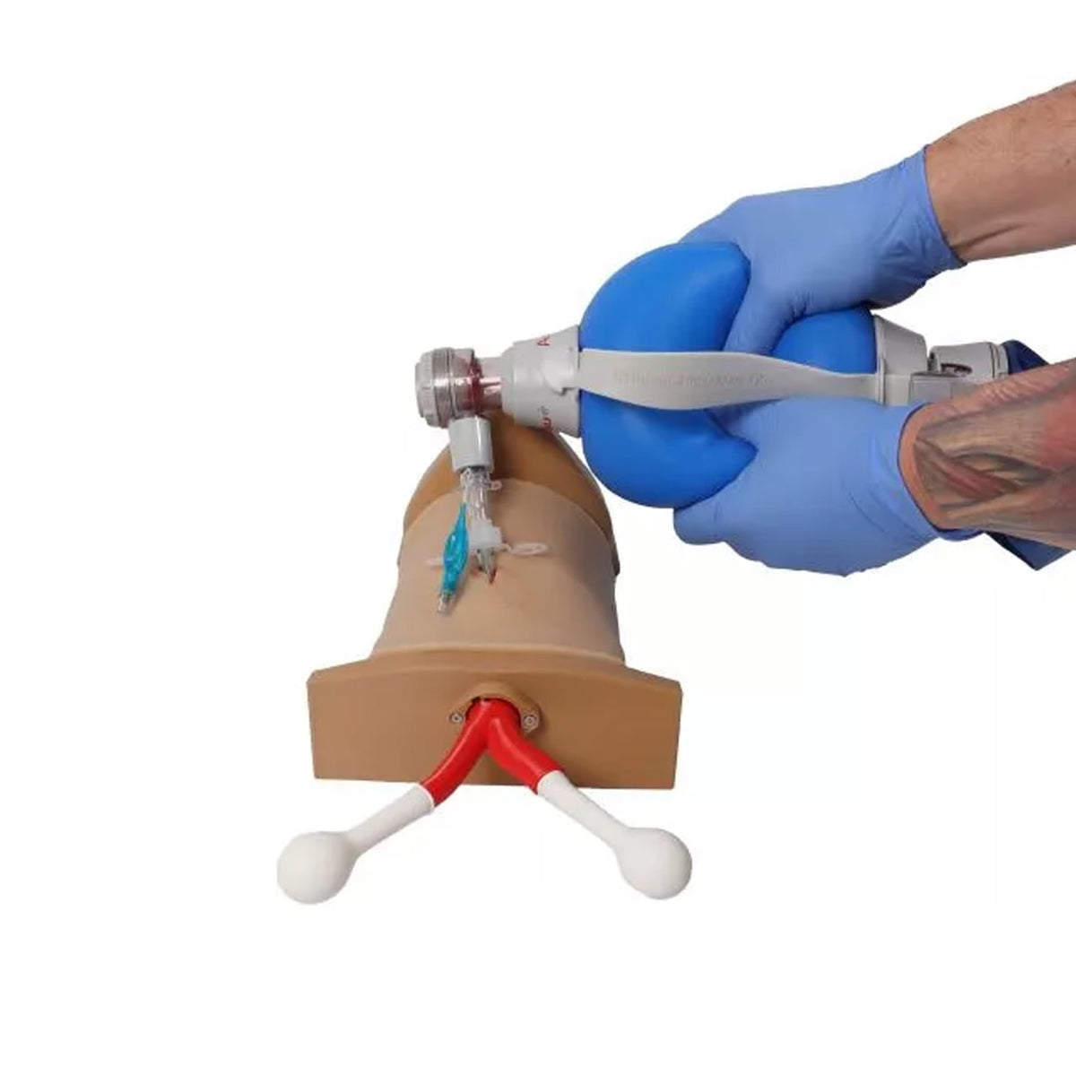 Crico Chris – Koniotomie Task Trainer