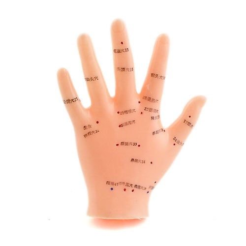 Akupunkturmodell Hand