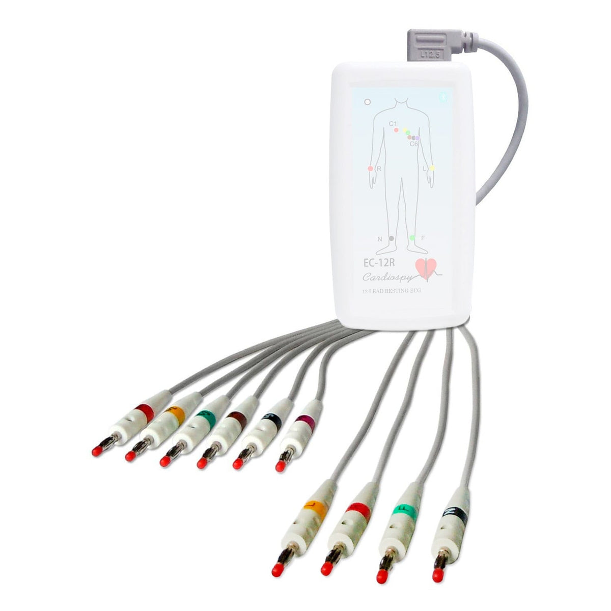 Patienten-Kabel EC-12R