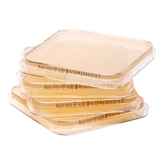 Mueller-Hinton Agar