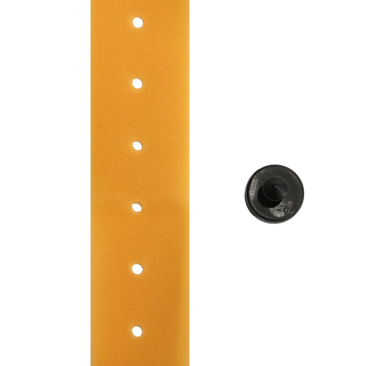 Gummiband