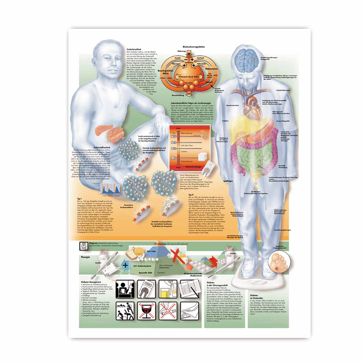 Lehrtafel Diabetes